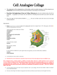 Cell Analogies Collage