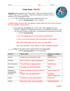 Name: Date:______ Period:____ Study Guide: Cell KEY Directions