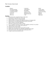 Plate Teconics Study Guide