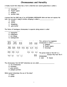 17. A photograph of a cell`s chromosomes grouped in pairs in order