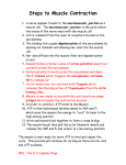 12 Steps to Muscle Contraction