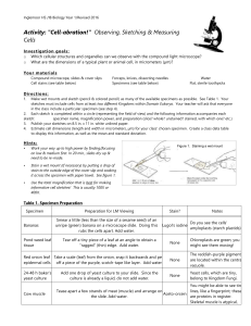 Cell-abrationLab