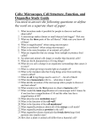 Cells: Microscopes, Cell Structure, Function, and Organelles Study