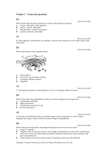 Chapter 2 – Exam style questions Q1. Bk Ch2 Exam MQ1 Which of