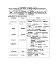 THE ENDOCRINE SYSTEM (pp