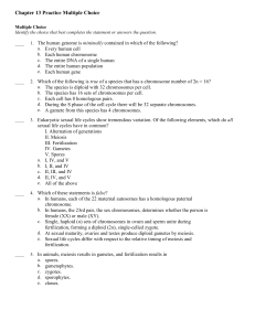 Chapter 13 Practice Multiple Choice