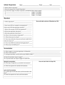 Cellular Respiration Name: Period: ______ Date: 1. Define cellular