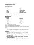 Chapter 3 Study Guide - Horizon Middle School