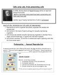 Asexual Reproduction