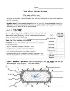 Cells Alive - Decatur ISD