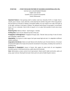 STUDY NO: :- STUDY ON SILVAN FEATURES OF LEUCAENA