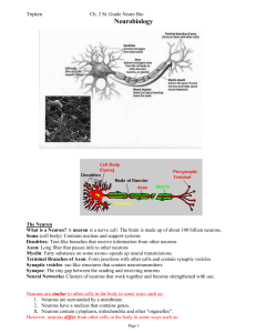 2_Neuro-Bio_Review