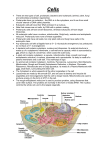 Cells - Biology Mad