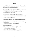 Notes: Meiosis