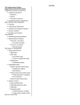 Lecture - Integumentary System Outline