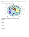 Common_Assessment_3_Review_Guide