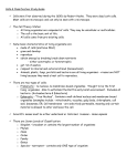 Chapter 4 Test - Nutley Public Schools