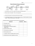 Mitosis Vocab Review