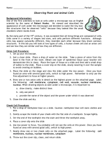 LAB: Observing Plant and Animal Cells