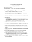 CHAPTER 10 STUDY GUIDE (Mendel and Meiosis)