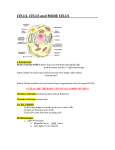 CELLS, CELLS and MORE CELLS I. Background In the very late