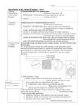 Introduction to the Animal Kingdom – notes