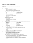 Strand IV Cell Chemistry and Biotechnology