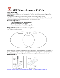 5.6_Cells - coastal plains msp links