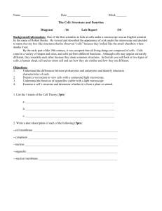 The Cell: Structure and Function