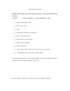 Study Guide Cells Unit Test