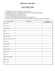 cell structure review sheet