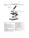 Microscope Handout - Paint Valley Local Schools