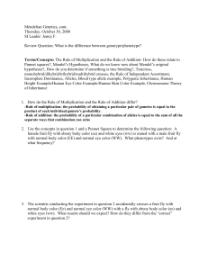 Mendelian Genetics, cont. Thursday, October 30, 2008 SI Leader