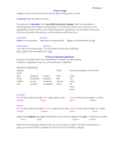 Pronouns 1 Pronoun Usage A noun is a word used to name a(n