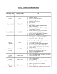 White Substance Information