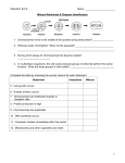 Mitosis Phase Review Sheet