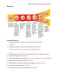 Mitosis, Cell division and aging