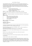 Essay Plan Balance of Payments