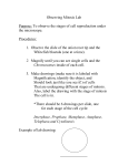 Observing Mitosis Lab