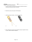 AP Biology - Issaquah Connect