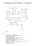 Cell Structure and Function