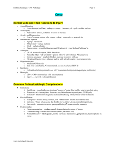 neuro_pathology