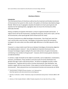 Karyotype SingleGeneInheritance