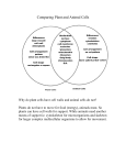 Comparing Plant and Animal Cells