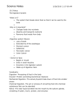 19.2 Notes The Digestive System -What is it? The system that breaks