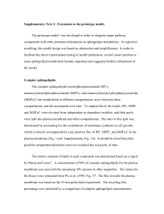 Supplementary Text 2: Extensions to the prototype model