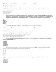 BioSc 231 Exam 4 2005