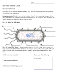 Cells Alive Tutorial 08-09