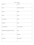 Meiosis Vocabulary