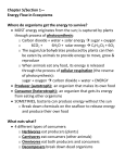 Chapter 5 Sec 1 Notes